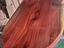 Immagine 21