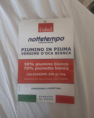 2 piumini d'oca singoli