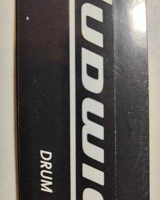 adesivi Ludwig Rogers 