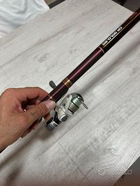 Bolognese daiwa competition gold