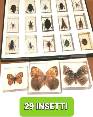 Collezione de Agostini insetti in resina 