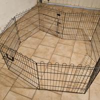 Recinto per cani