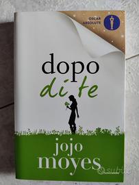 dopo di te libro