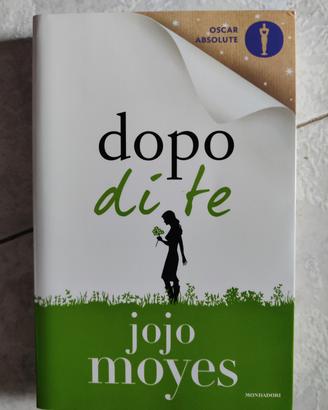 dopo di te libro