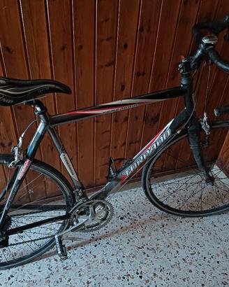 Bicicletta Corsa Temeraria - " Torpado Leggenda"