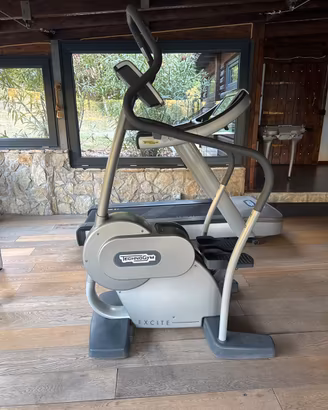 Step technogym