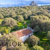 Olbia | Loc. Minatoggia | Stazzo storico circondat