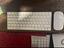 Immagine 5