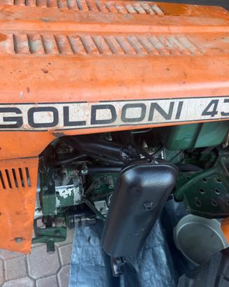 Goldoni 433 con targa e cassone rialtabile idrauli