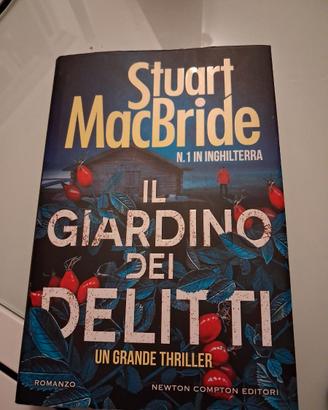 Libro thriller