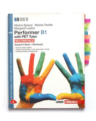 PERFORMER B1 - ONE