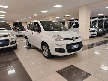 FIAT Panda 3ª serie Panda 1.2 Easy