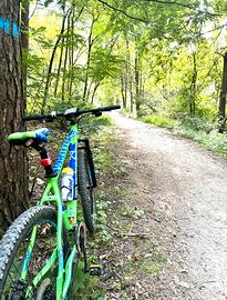 MTB TORPADO