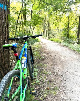 MTB TORPADO