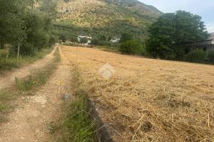 TER. AGRICOLO A VENAFRO