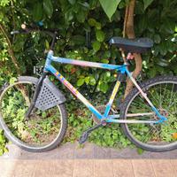 Bicicletta uomo mountain bike