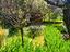 Immagine 13