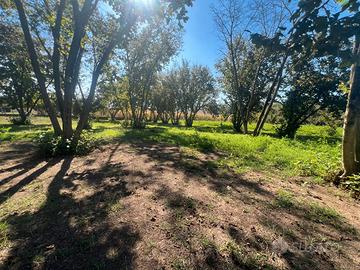 Terreno agricolo