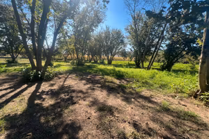 Terreno agricolo