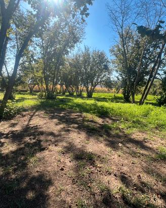 Terreno agricolo