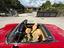 Immagine 13