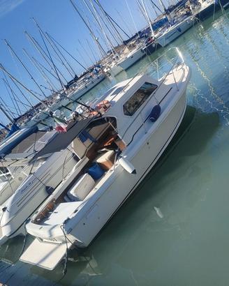 Montenapoleone Bertram