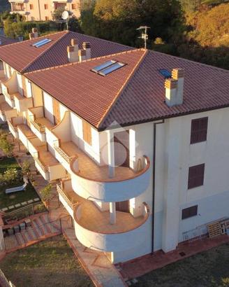 4 LOCALI A POGGIO MIRTETO