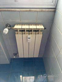 Radiatori/caloriferi