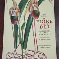 IL FIORE DEGLI DEI di LUIGI BERLIOCCHI