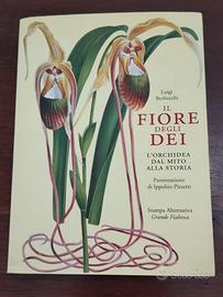 IL FIORE DEGLI DEI di LUIGI BERLIOCCHI