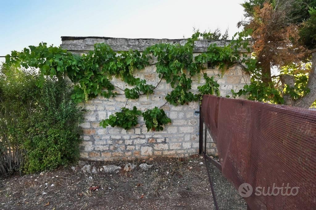 Terreno di 8800 m² a Putignano - Vista 4