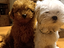 Immagine 1