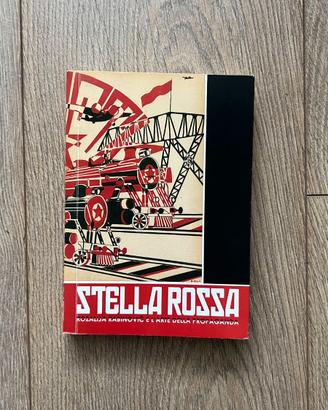 catalogo d'arte Stella Rossa
