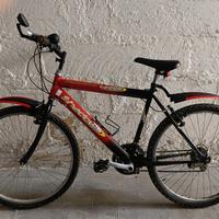 Mountain bike Shadows 4000 in buone condizioni