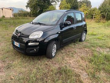 Fiat Panda 1.2 Lounge - Adatta Neopatentati / -Km 