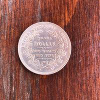 Moneta trade dollar argento