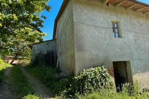 Casale