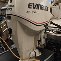Evinrude E-Tec 250