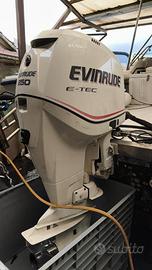 Evinrude E-Tec 250