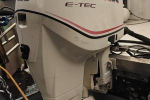 Evinrude E-Tec 250