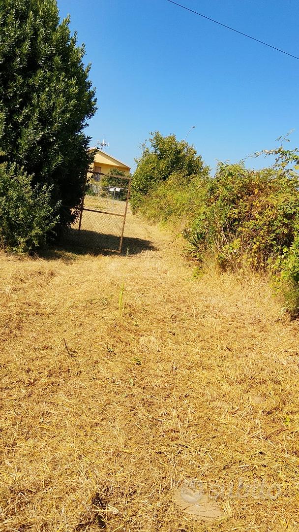 Terreno agricolo - Vista 3