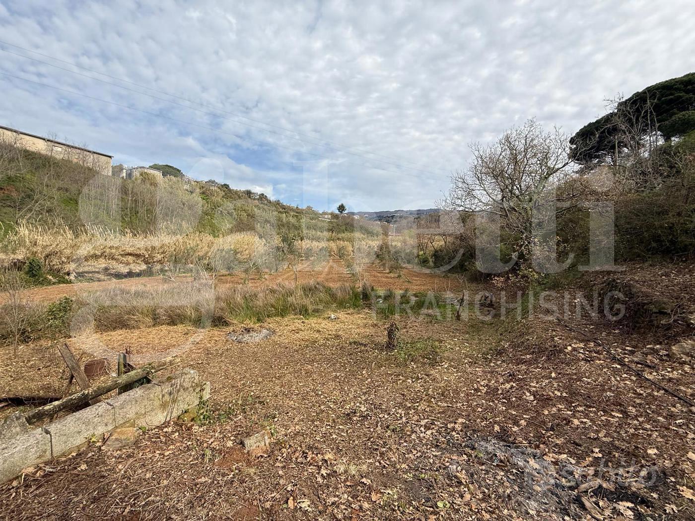 Terreno Agricolo Pianopoli [Cod. rif 3225001VCG] - Vista 4