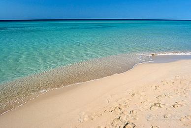 Casa vacanza a PESCOLUSE-Le Maldive del SALENTO