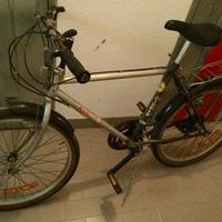 Bicicletta City Bike Vintage AIROLG