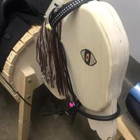 Cavallo in legno