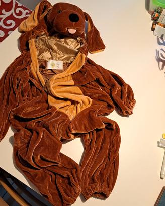 vestito carnevale 