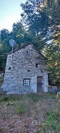 Rustici con terreni