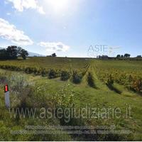 Terreno Agricolo Montefalco [A4309821]
