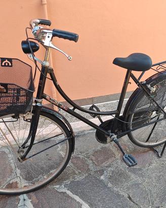 bicicletta da turismo Carolina