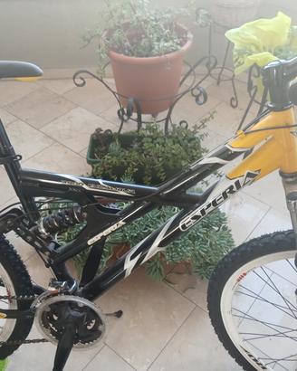 MTB del 26 biammortizzata con freni a disco 